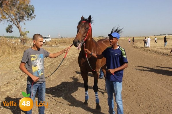 horse race 0602 (76).JPG